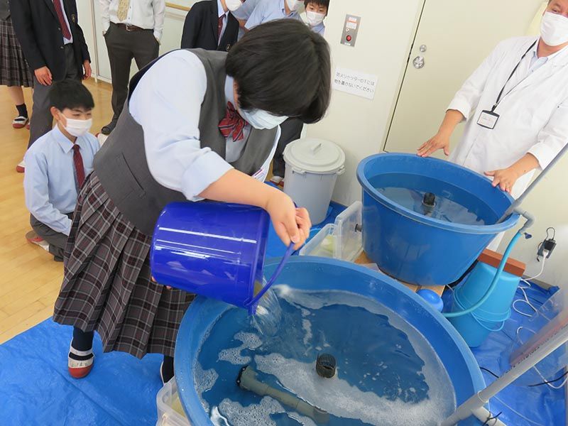 各クラス１匹ずつヒラメを受け入れました。