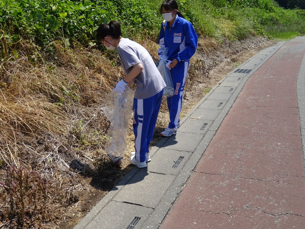 滑川の側道の清掃